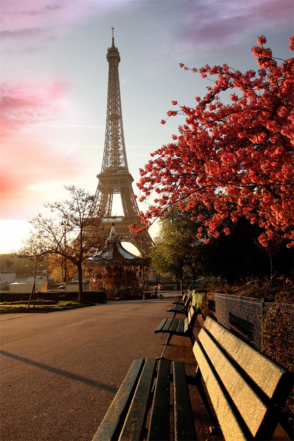 Custom-Canvas-Art-Paris-Poster-Paris-Wallpaper-Eiffel-Tower-Wall-Stickers-Eiffel-Tower-Mora-Christmas-Home