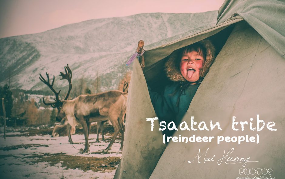 phóng sự truyền hình: Tsaatan – bộ lạc tuần lộc cuối cùng ở Mông Cổ
